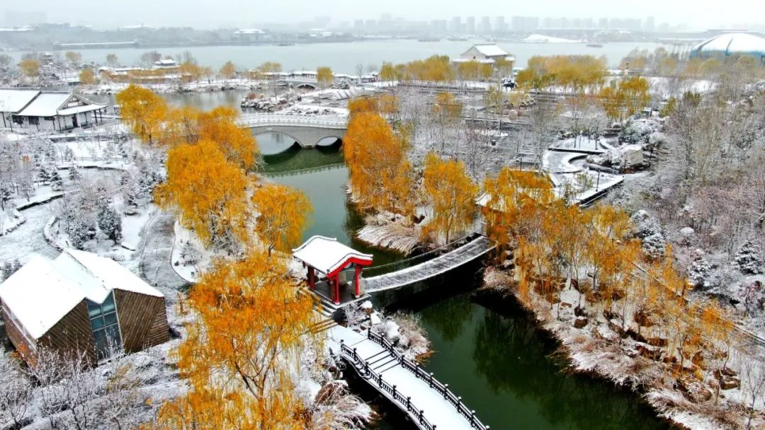 你要的银川雪景,安排上了!