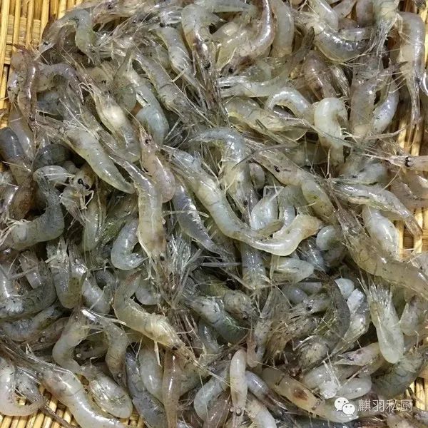 河北魏县这里卖的韭菜抽检不合格！（最新发布）