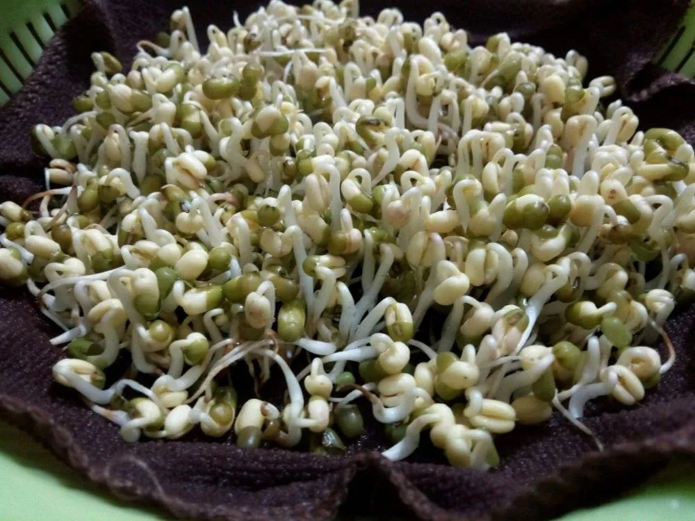 河北魏县这里卖的韭菜抽检不合格！（最新发布）