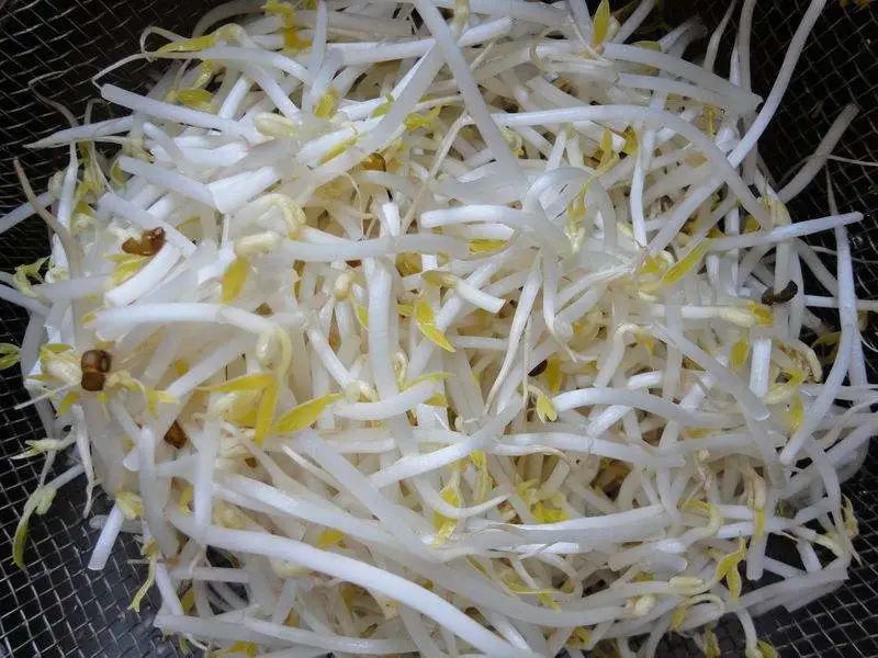 河北魏县这里卖的韭菜抽检不合格！（最新发布）