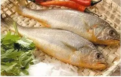 河北魏县这里卖的韭菜抽检不合格！（最新发布）