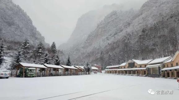 雪中陇南,除了美还有