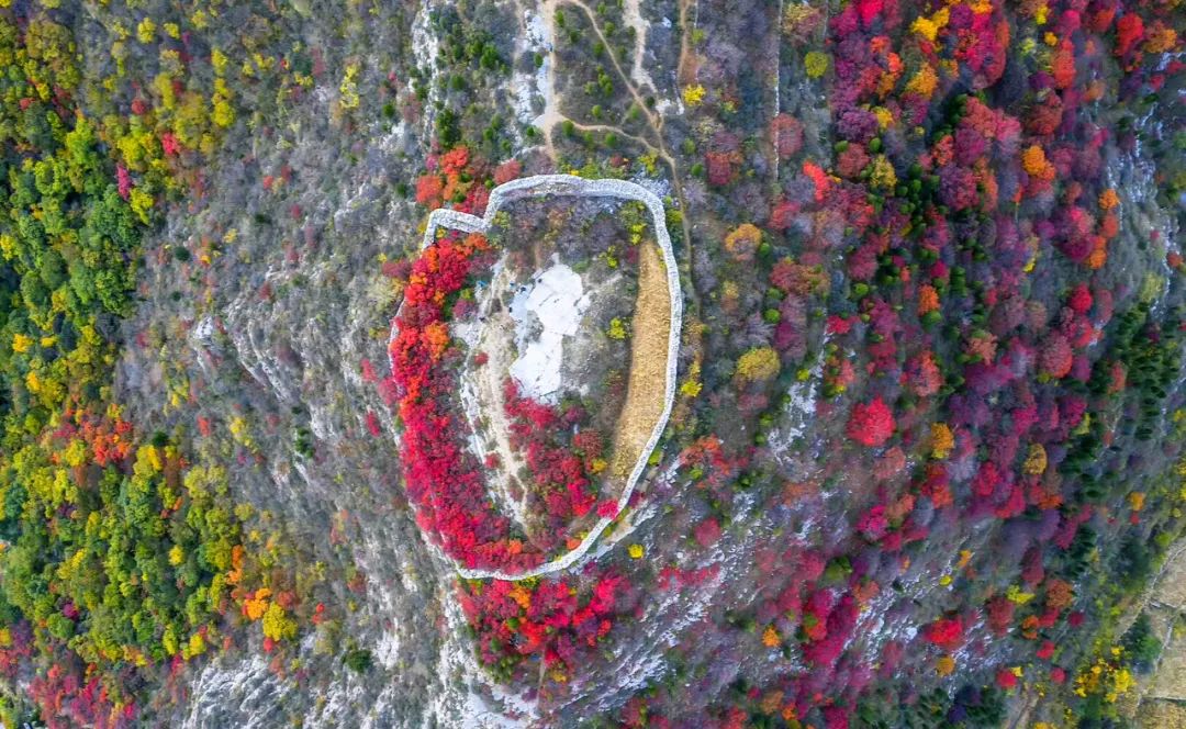 山东少有的石头古村,却是原生态的世外桃源!看完就想去隐居!(最新发布)