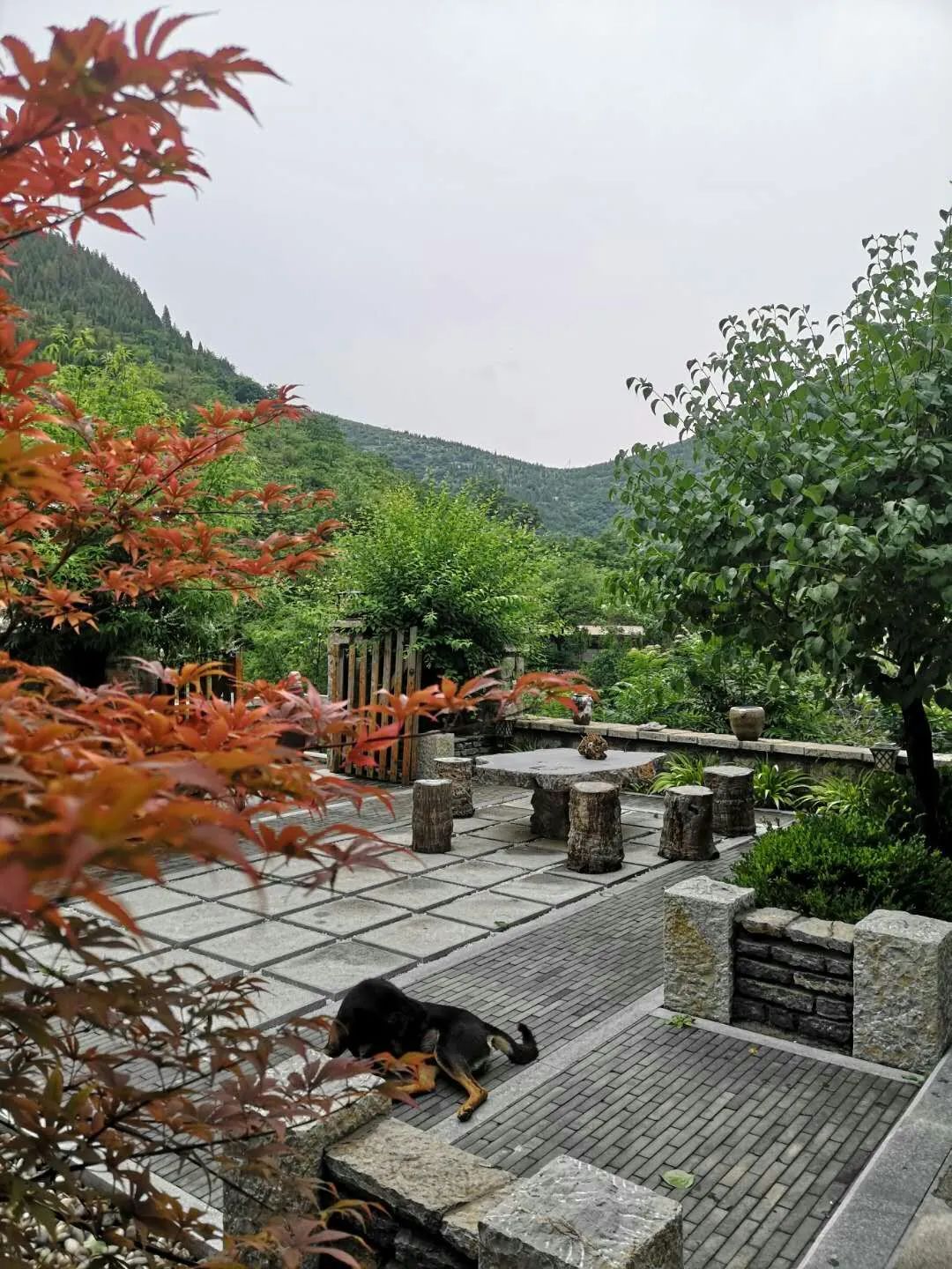 山东少有的石头古村,却是原生态的世外桃源!看完就想去隐居!(最新发布)