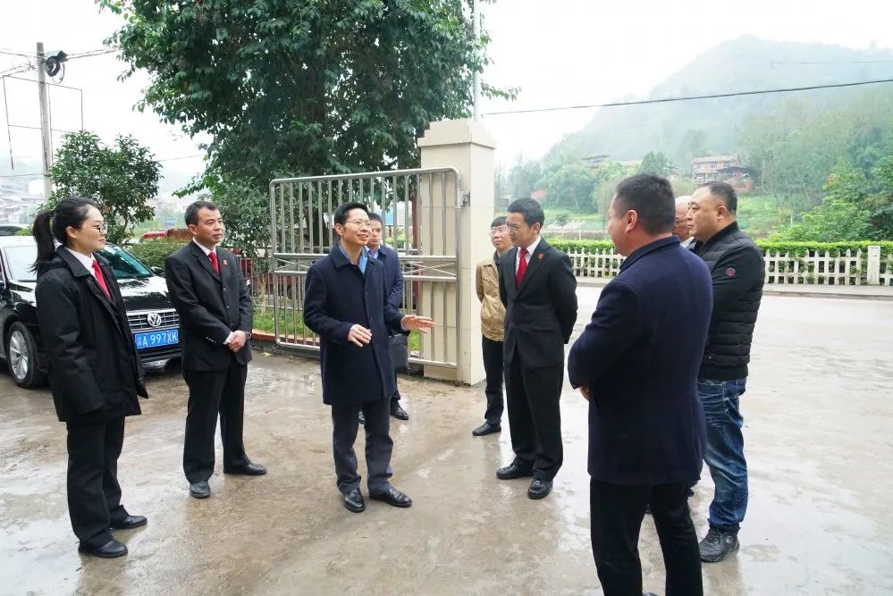忠县人大常委会主任陈强调研法院工作