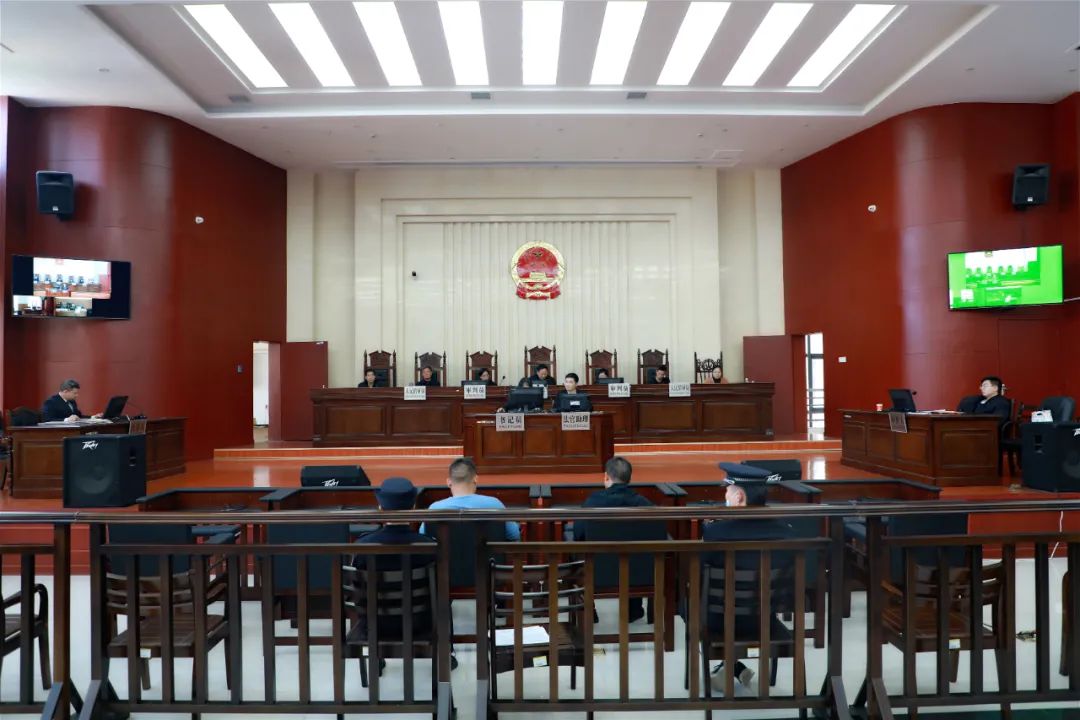 茶陵法院集中宣判4起涉环境资源刑事案