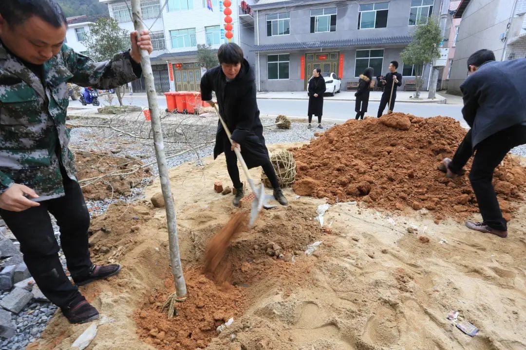 民族团结进步模范蓝幸杏根在乡土以岗为家