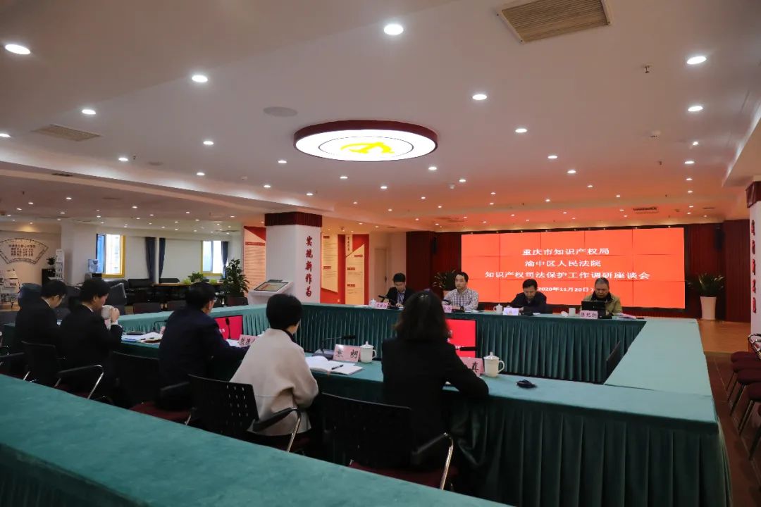 市知识产权局副局长何大伟一行到渝中法院调研知识产权司法保护工作