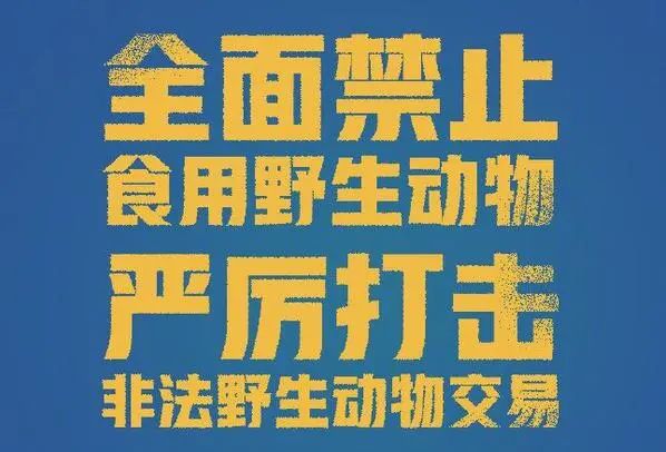 【保护野生动物】因为一只蜘蛛,他被鼓楼检察起诉了!