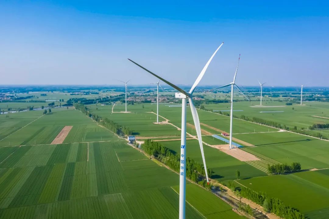 点赞中原"大风车"!国内单体容量最大的平原风电项目在濮阳投产