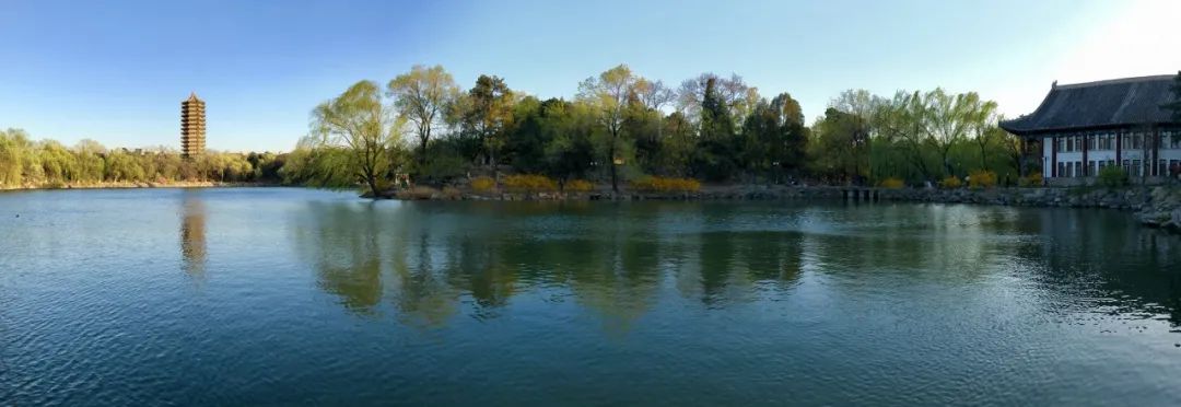 倒计时！北大博士网上报名及报考信息权威汇总（最新发布）