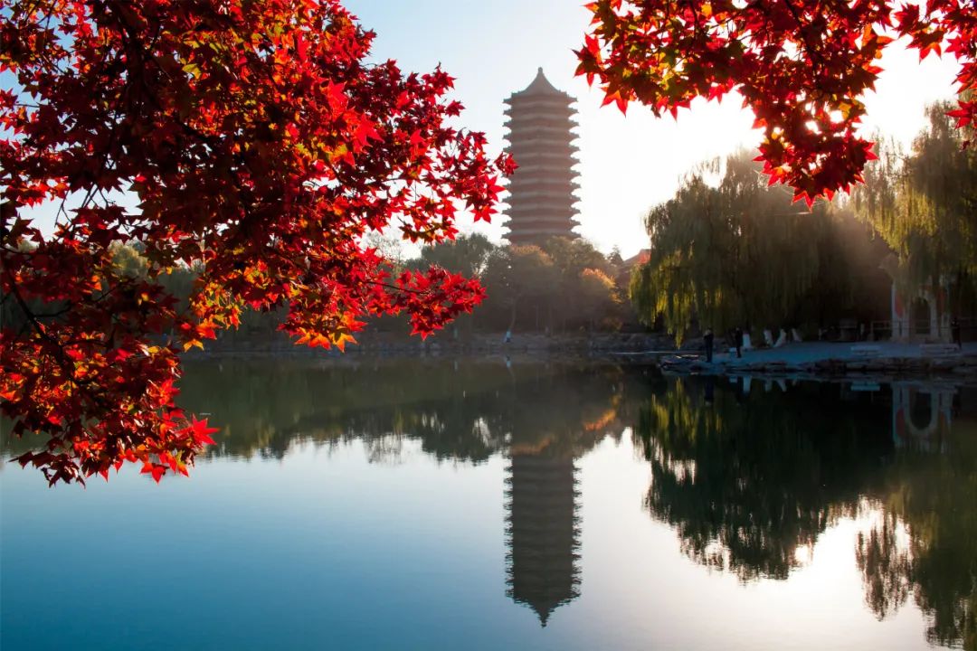 倒计时!北大博士网上报名及报考信息权威汇总(最新发布)