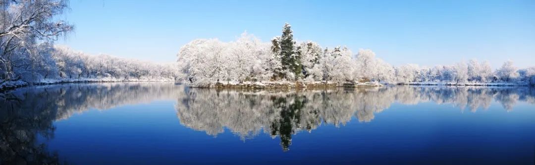 倒计时!北大博士网上报名及报考信息权威汇总(最新发布)