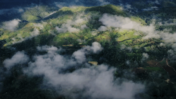 “啡”你不可！一杯云南咖啡里的脱贫故事（最新发布）