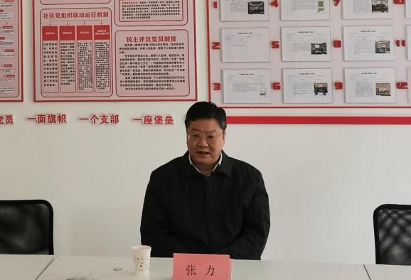 市人大常委会副主任张力到我区党支部工作联系点开展调研