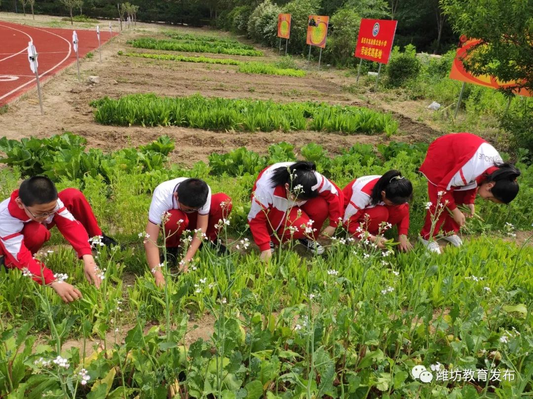 学校注重师生劳动教育评价促进师生共同成长,基于目标引领和问题导向