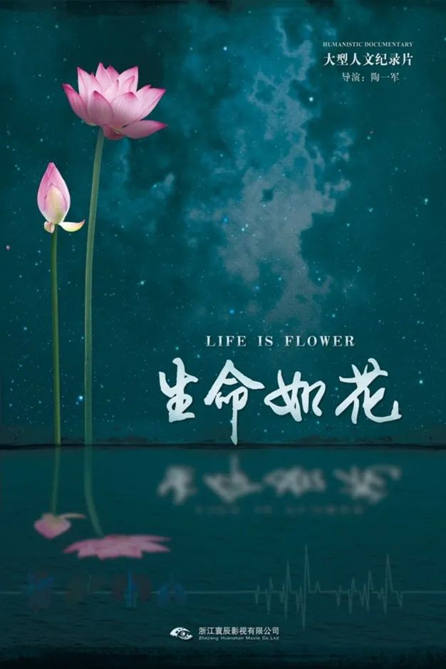市,区,跟踪拍摄了八十多个器官捐献与移植的生命接力的故事,真实,客观