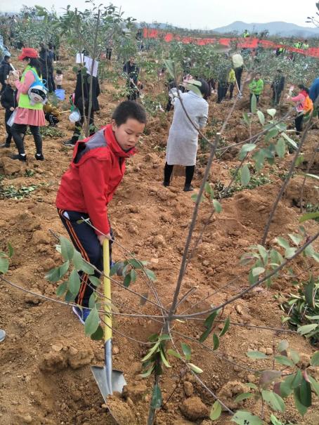 【关注】奔跑吧，少年！2020年湖北“新时代好少年”名单发布（最新发布）
