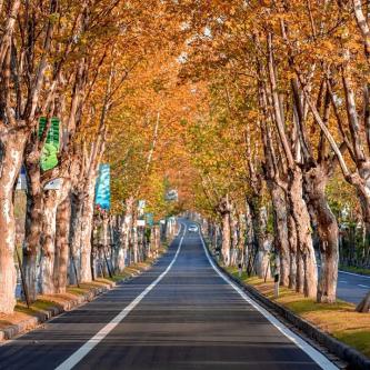 浙江这些地方拟入选国家级旅游度假区！走起~（最新发布）