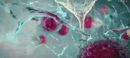 近年来,基于对单个量子态的操控,量子科学技术又出现了新的方向和