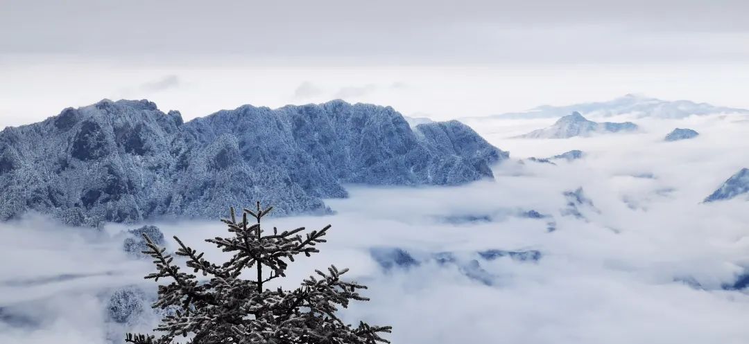 漫天雪花降临在2500米海拔的神农架,山川草木被白雪覆盖,呈现一派高低