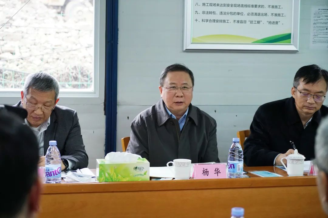 杨华:以高质量发展落实"长江大保护"