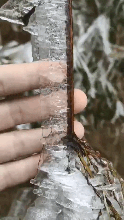 408_720竖版 竖屏gif 动态图 动图
