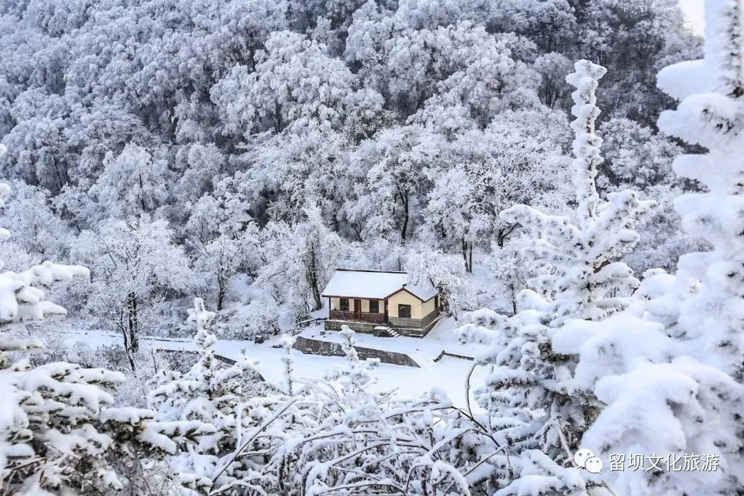 汉中这处雪景上央视啦数万网友被美景征服