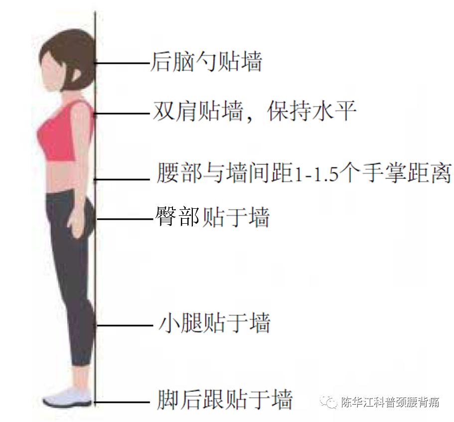 科普小课堂|长征去痛十八式之靠墙站