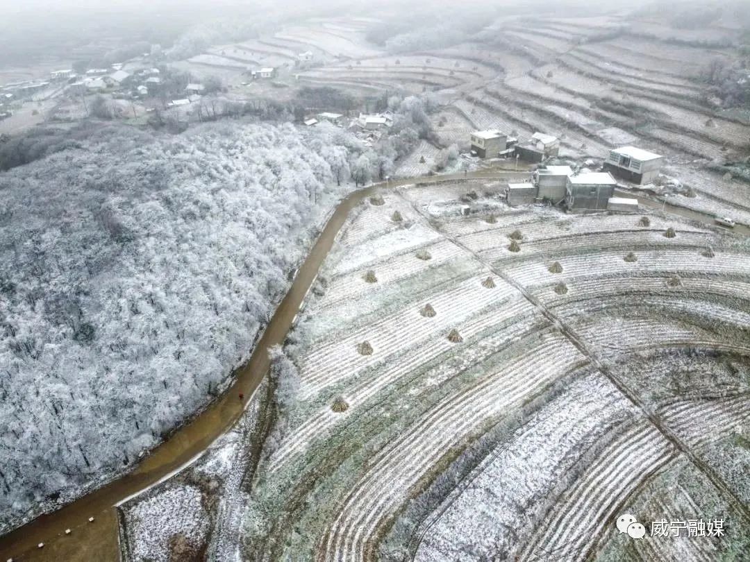 雪景 (卯龙艳 文旭 摄)犹如冰雪童话世界雪后的威宁大地出现降雪和