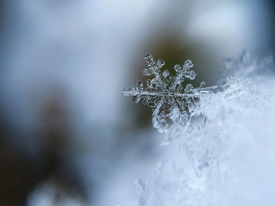 今日大雪