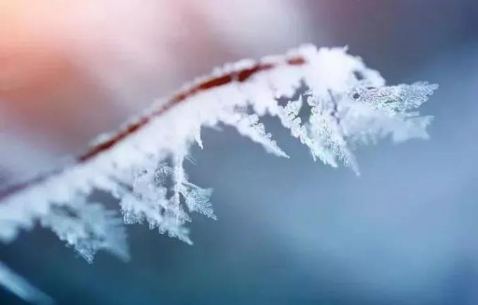 今日大雪 | 大雪纷飞 愿你有温暖在心