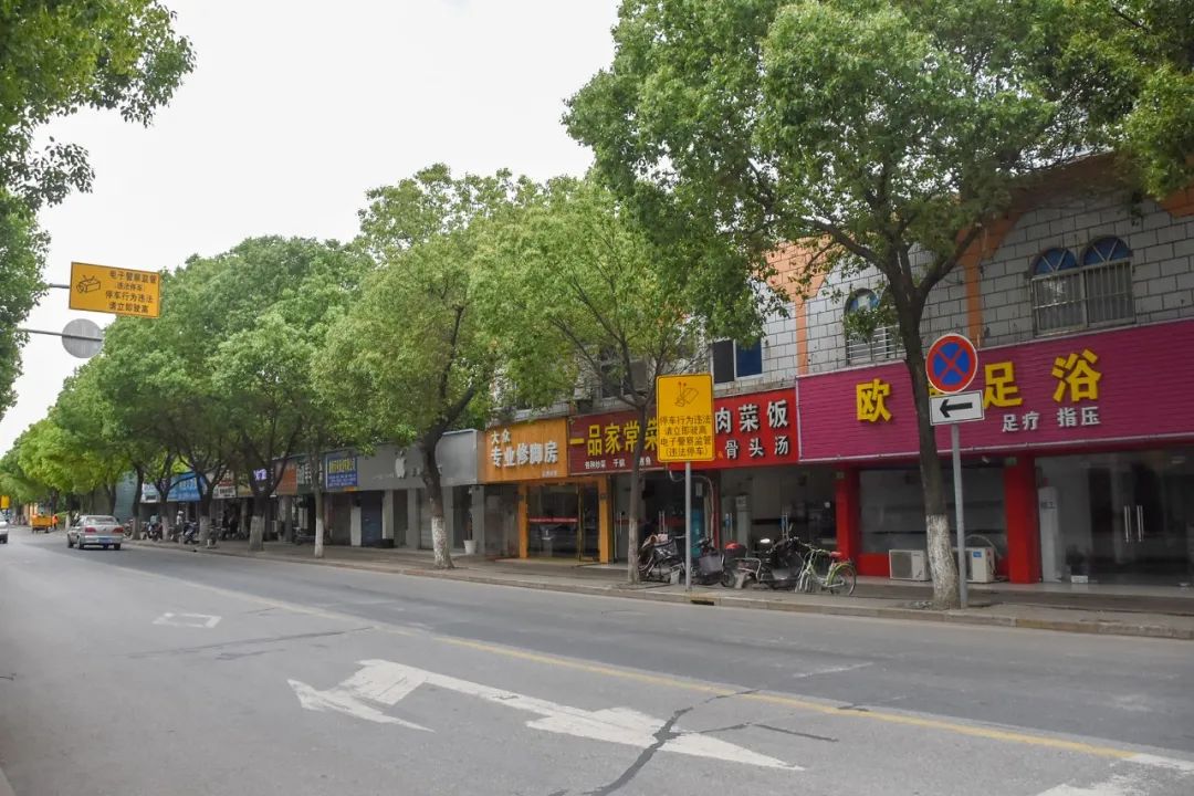 金汇的"美丽街区"值得你驻足停留!