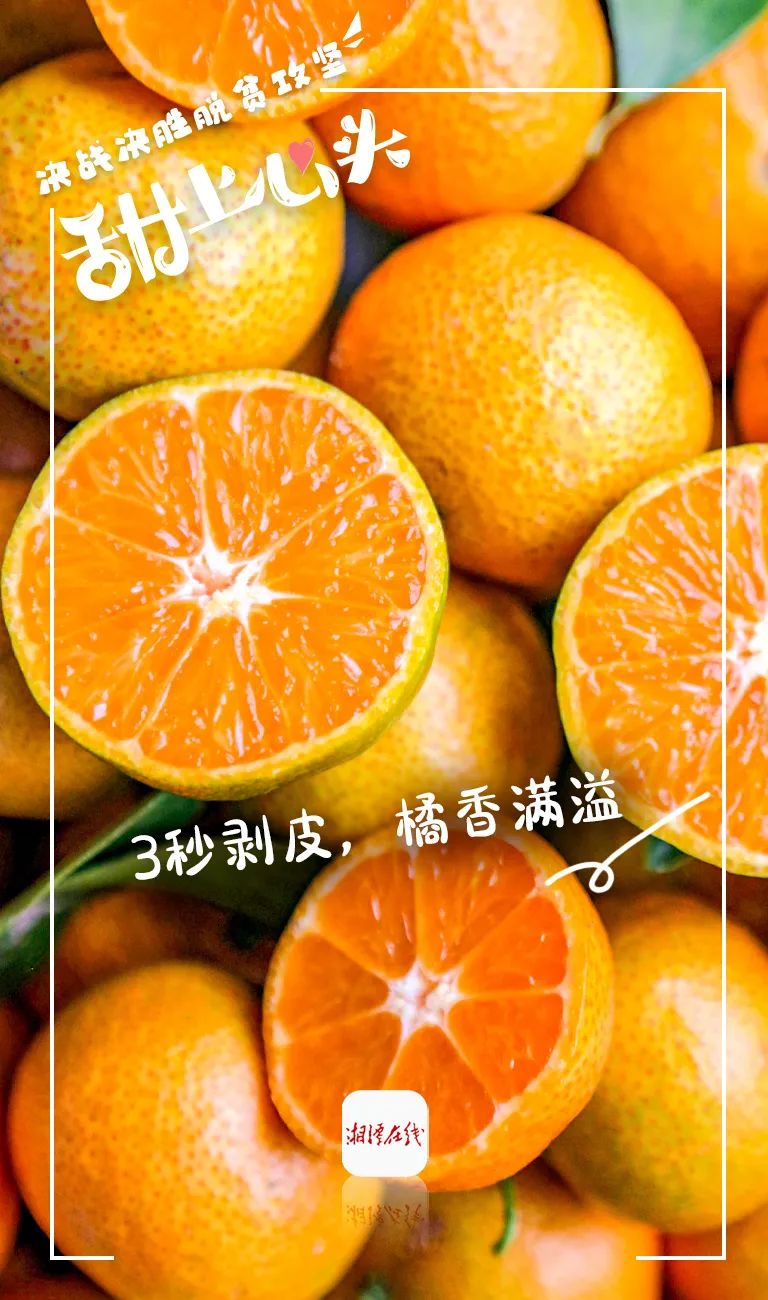 甜上心头 | 湘潭这个地方的砂糖橘大丰收,一口一个,根本停不下来