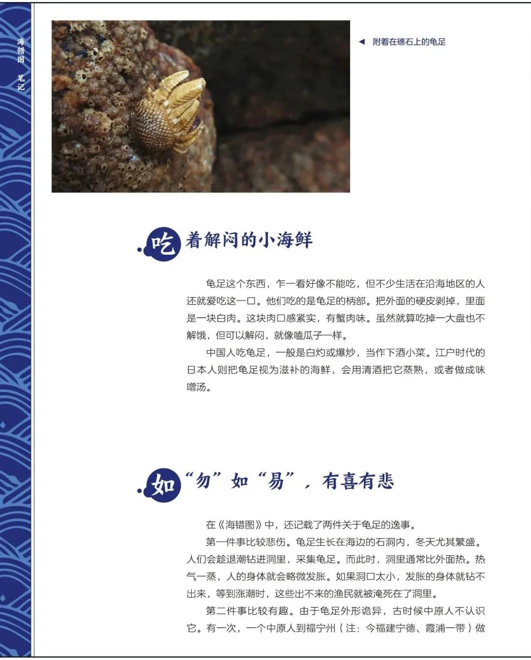 章鱼,章巨,鬼头鱼,寿星章鱼 神龙,闽海龙鱼,曲爪虬龙,盐龙,螭虎鱼,蛟