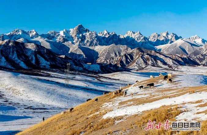 天祝冬日美景 藏在马牙雪山_政务_澎湃新闻-the paper