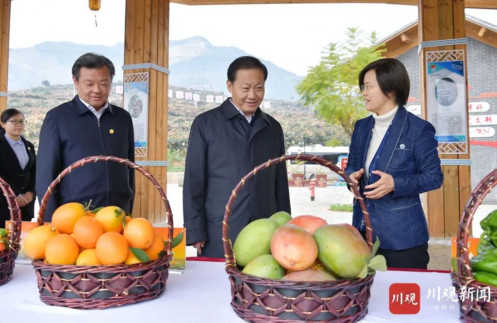 彭清华在攀枝花调研,强调当前最重要任务是抓实抓细这两件大事