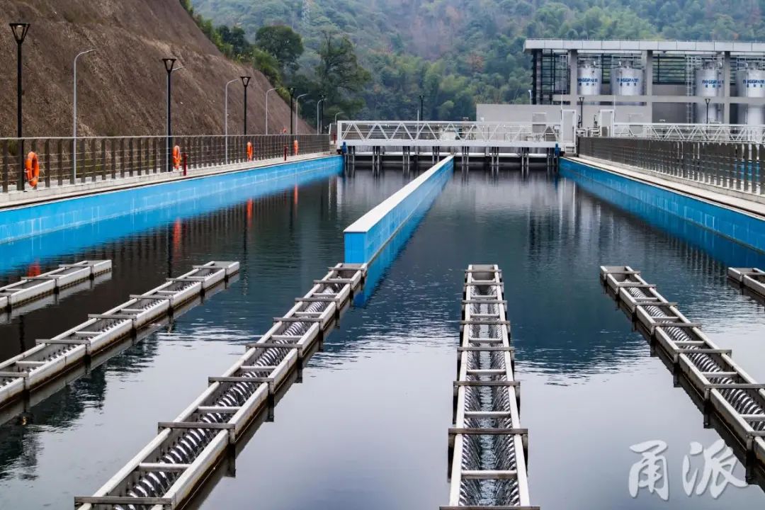 宁波水库水位十年来最低?部门回应来了