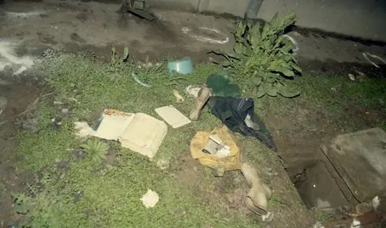 28年前震惊全国的"南医大杀人案"凶手终于判了死刑!
