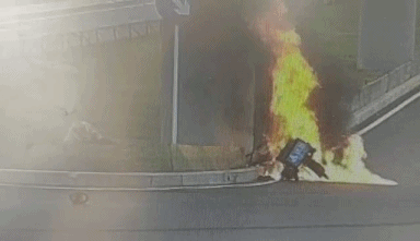 2020就要过去，这些真实的“偷拍”，看哭了……（最新发布）