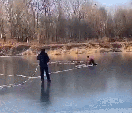 2020就要过去，这些真实的“偷拍”，看哭了……（最新发布）