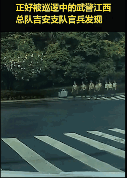 2020就要过去，这些真实的“偷拍”，看哭了……（最新发布）