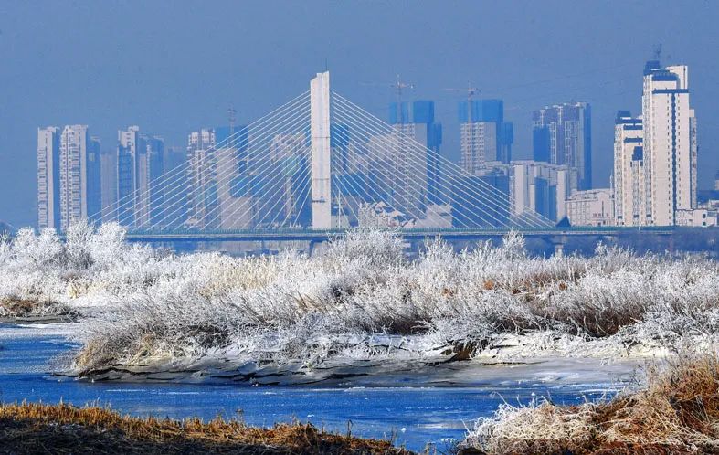 惊艳冬日来吉林邂逅一场雾凇美景吧