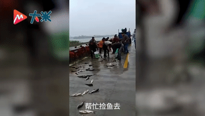 2020就要过去，这些真实的“偷拍”，看哭了……【美文】（最新发布）