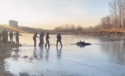 2020就要过去，这些真实的“偷拍”，看哭了……【美文】（最新发布）