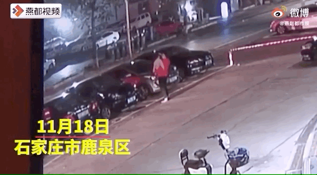 2020就要过去，这些真实的“偷拍”，看哭了……【美文】（最新发布）