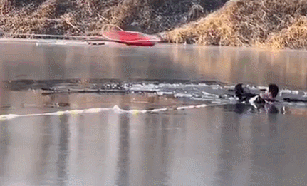 2020就要过去，这些真实的“偷拍”，看哭了……【美文】（最新发布）