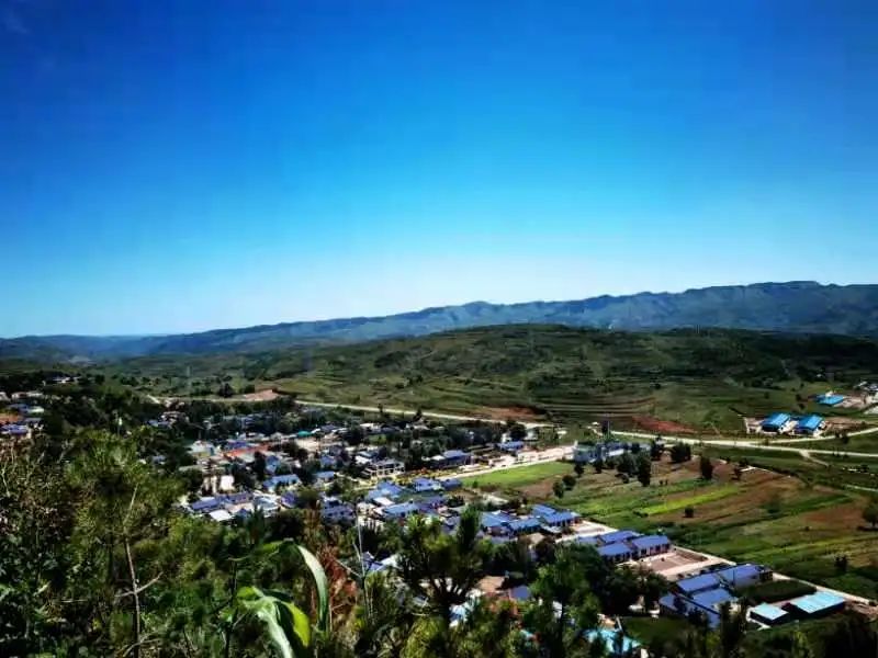 宁夏泾源县:杨岭村的日子变了