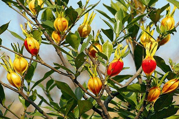 脱贫攻坚四川故事汇”征文】姜维彬 ‖ 扶贫手记(组诗)(最新发布)