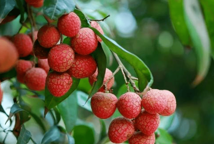 脱贫攻坚四川故事汇”征文】姜维彬 ‖ 扶贫手记(组诗)(最新发布)